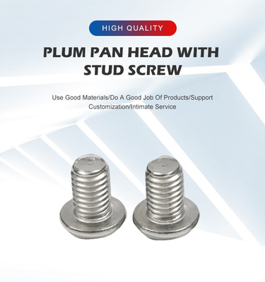 Acier inoxydable contre-enfoncé Hex Socket Head Screw Standard Autre résistant à la corrosion