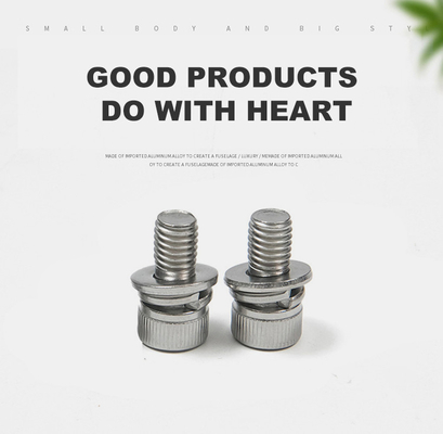 Finition simple de toutes tailles M5 M6 M8 M12 en acier inoxydable SUS 304 Hexagon Socket Head Cap Sems vis