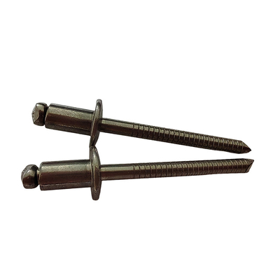 Tête ronde en acier inoxydable Rivet blanc 3,2 mm Directe haute résistance