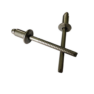 Rivet standard en acier inoxydable 3.0 mm Rivets à bout ouvert à bout aveugle dans la nature Couleur tête ronde