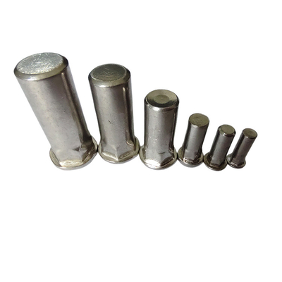 Finition nickelée semi-hex Noix de rivets aveugle pour un corps lisse et propre
