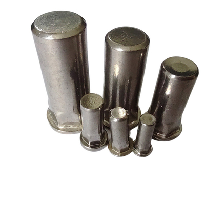 Finition nickelée semi-hex Noix de rivets aveugle pour un corps lisse et propre