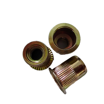 Tête ronde métrique Tête plate Noix de rivets ouverte pour fixation en acier au carbone plaqué zinc jaune