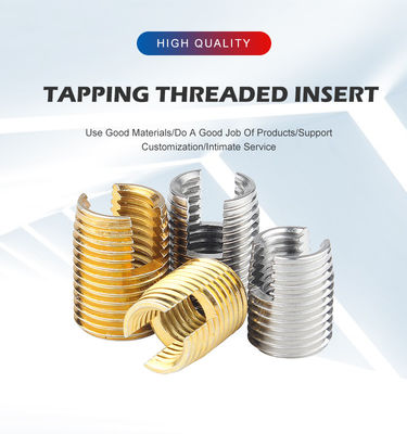 Fermetures d'insertion en acier inoxydable 316L, écrous d'insertion filetés pour meubles en bois