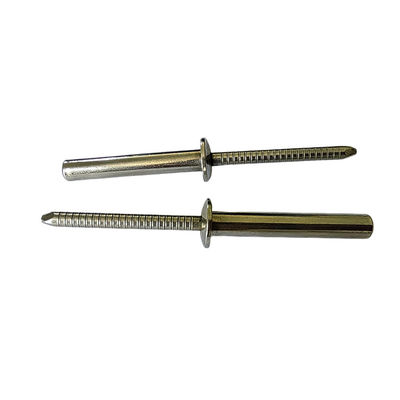 DIN Standard Résistant à la corrosion Fermé à l' extrémité en acier inoxydable Ronde tête aveugle Rivet