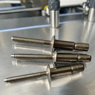 Type de verrouillage Rivets aveugles en acier inoxydable 304 La meilleure option pour la fixation structurelle
