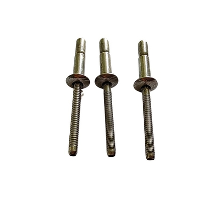 Rivets aveugles de type verrouillage compétitifs en acier inoxydable avec finition brillante
