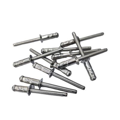 Tête de dôme de rivette en acier inoxydable, tête de dôme de rivette, tête plate avec finition non revêtue