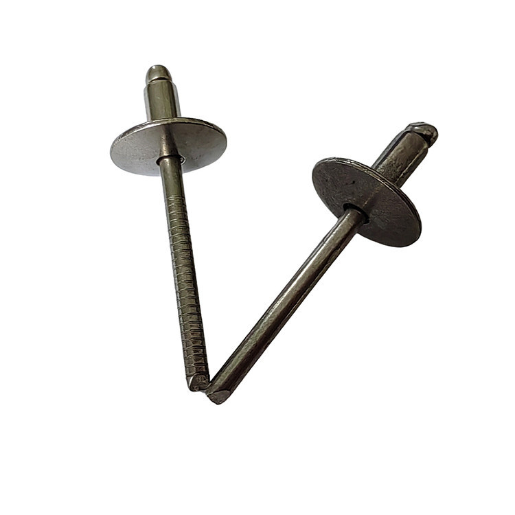 Rigoureux rivets en acier inoxydable à large bord, tête ronde pour les énergies renouvelables