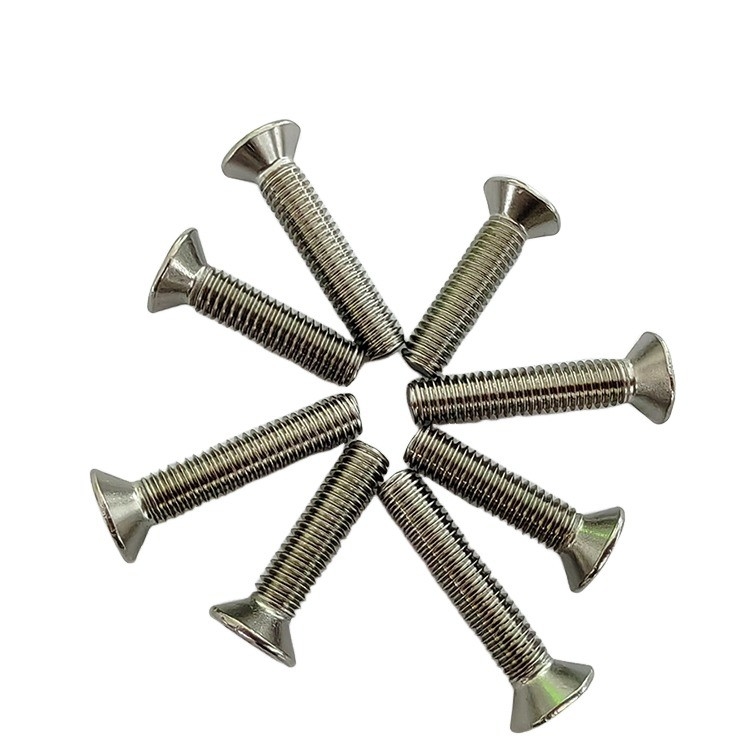 Type de fil complet plaque d'immatriculation anti-vol tête de prise Torx vis de sécurité avec broche