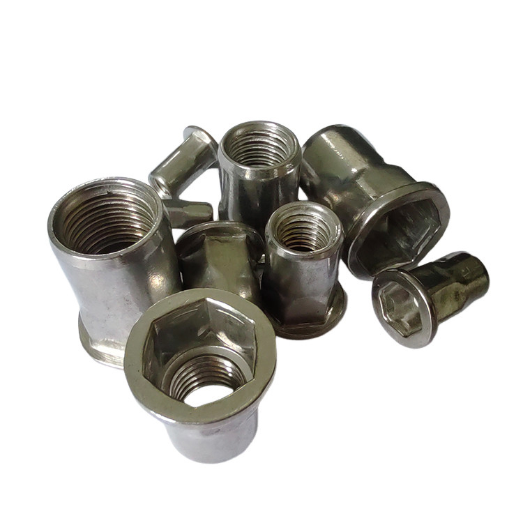 Noix de rivets à tête plate à demi-hex pour OEM automobile dans les applications de soins de santé