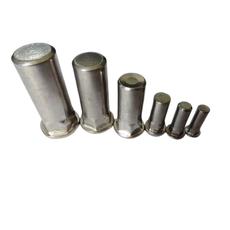 Finition nickelée semi-hex Noix de rivets aveugle pour un corps lisse et propre