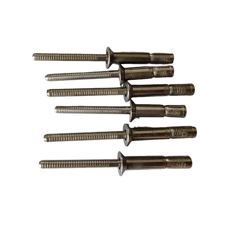 Rinceau de type verrouillage structurel étanche à l'eau avec boulon mono-tête en acier inoxydable 304