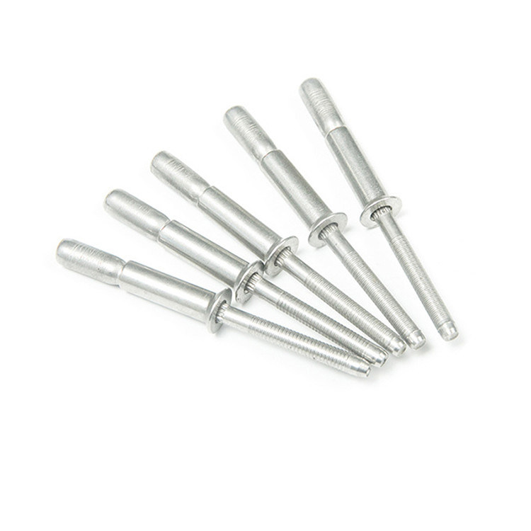 Finition simple en acier inoxydable à tête plate Rivets à tête longue à l'aveugle pour les meubles à vente rapide