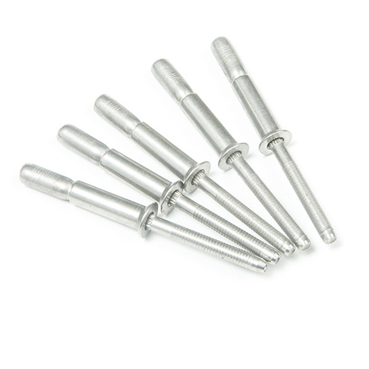 Rivet aveugle de type coupe en acier inoxydable argenté avec tête de dôme