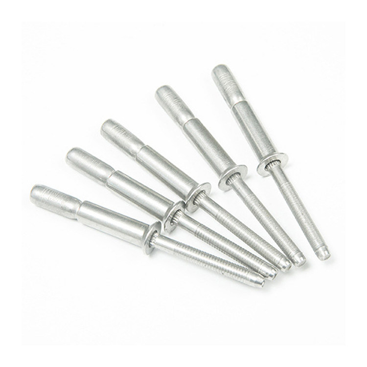 Finition simple 2024 type coupe en acier inoxydable rivets aveugles pour les applications industrielles