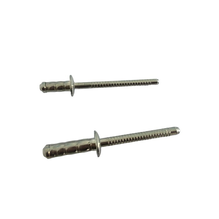 Tête de champignon en acier inoxydable multi prise rivets aveugles simples 4 mm pour voiture avion